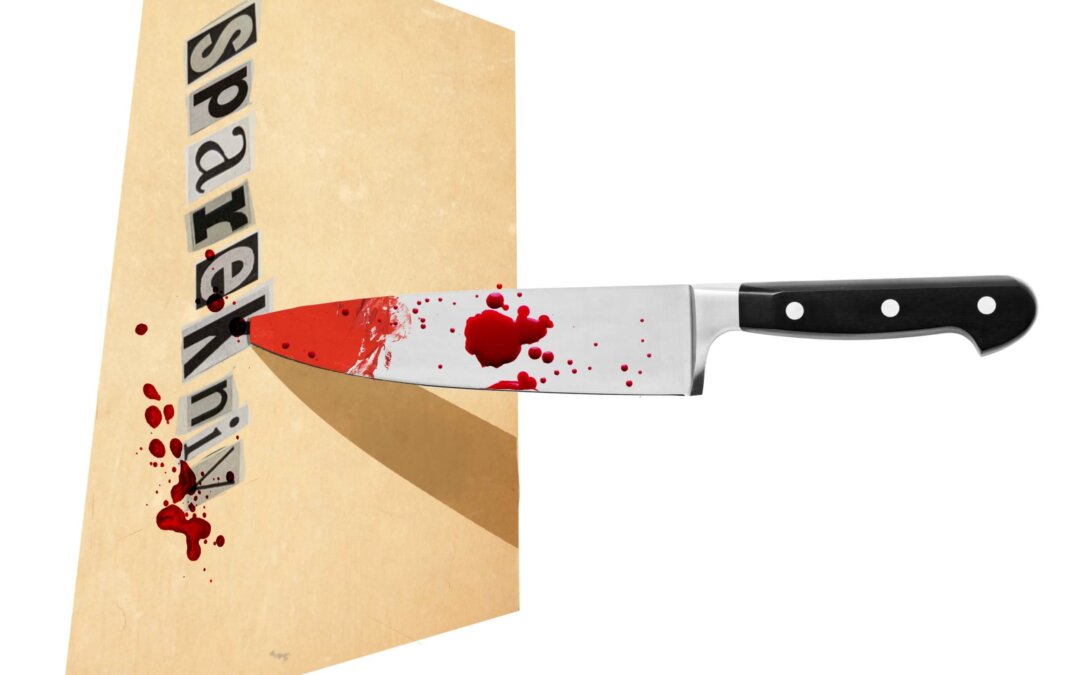 Det kan koste samfundet dyrt at spare phttps://sk-sagepub-com.ep.fjernadgang.kb.dk/books/download/media-ethics-key-principles-for-responsible-practice-second-edition/i83.pdfå folkeskolen